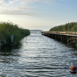 Mit dem Wind